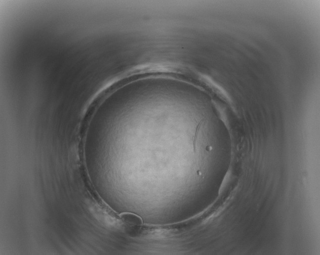 X0000083041166200702091401