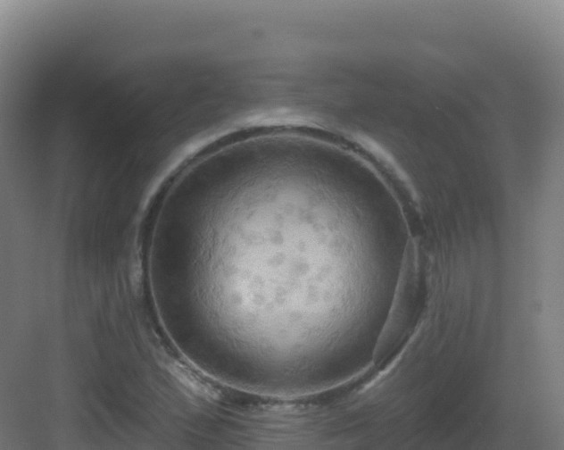 X0000083041167200702091401