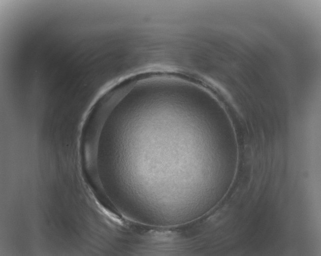 X0000083041168200702091401