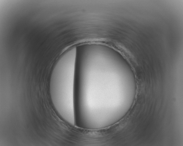 X0000083041169200702091401