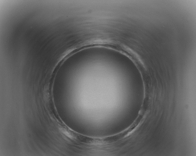 X0000083041170200702091401