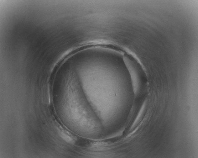 X0000083041171200702091401