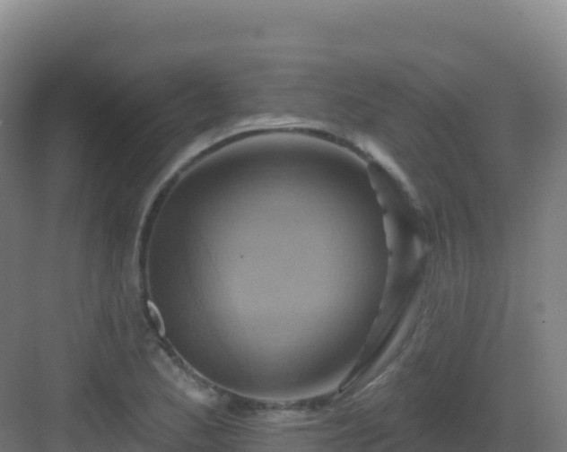 X0000083041173200702091401