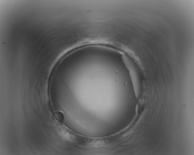 X0000083041174200702091401