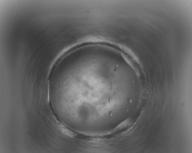 X0000083041175200702091401