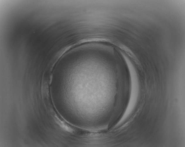 X0000083041177200702091401