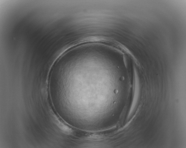 X0000083041178200702091401