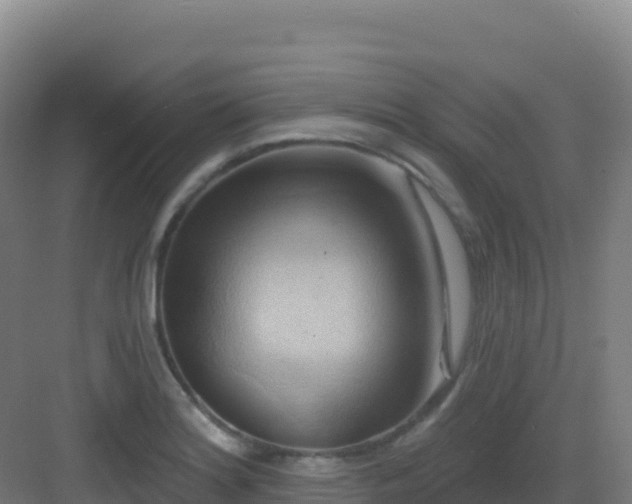 X0000083041180200702091401