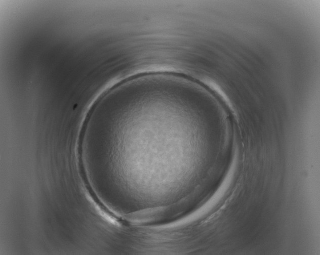 X0000083041181200702091401