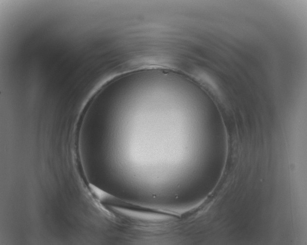 X0000083041182200702091401