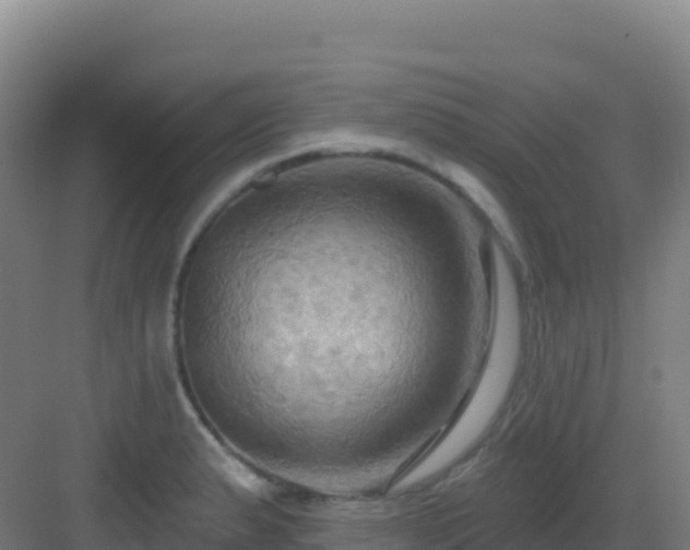 X0000083041183200702091401