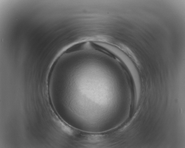 X0000083041184200702091401