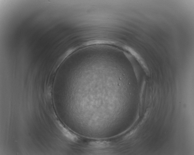 X0000083041185200702091401