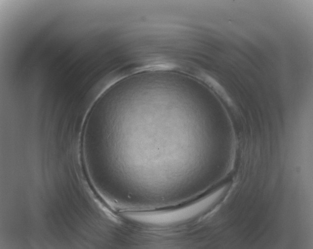 X0000083041186200702091401