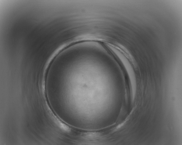 X0000083041188200702091401