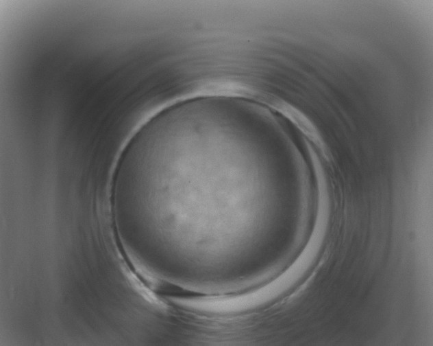 X0000083041192200702091401