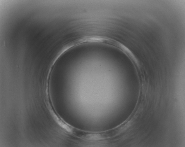 X0000083041194200702091401