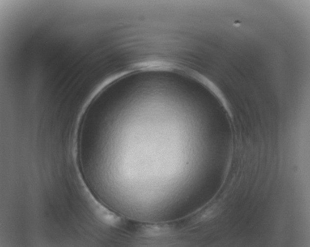 X0000083041195200702091401