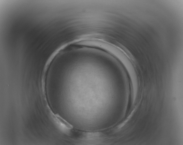 X0000083041196200702091400