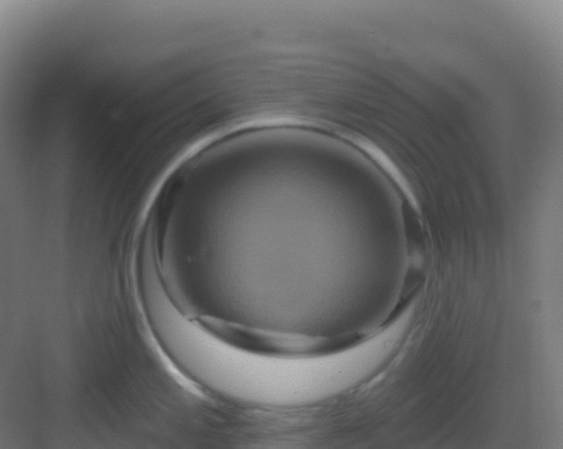 X0000083041197200702091400