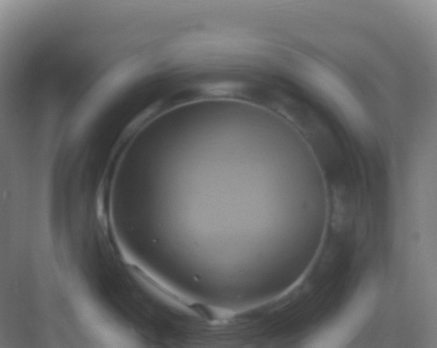 X0000083041198200702091400