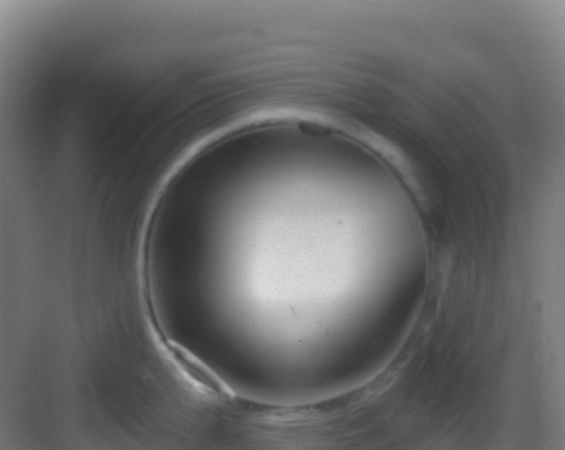 X0000083041199200702091400