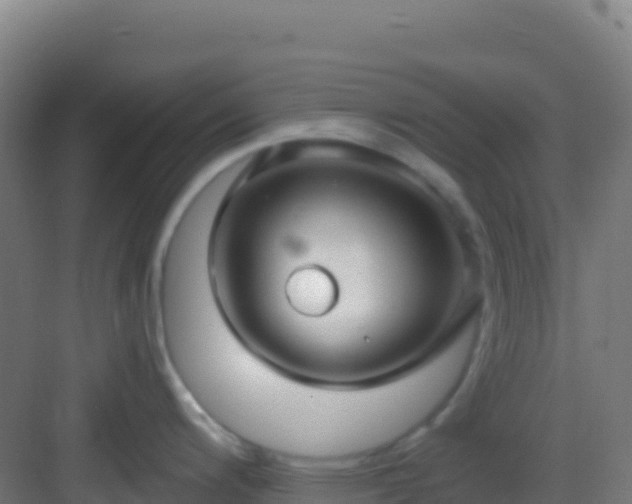 X0000083041200200702091400