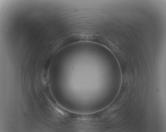 X0000083041202200702091400