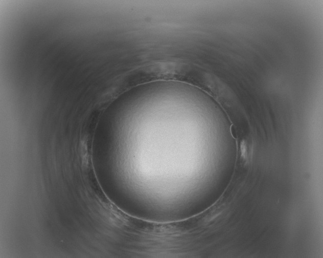 X0000083041203200702091400