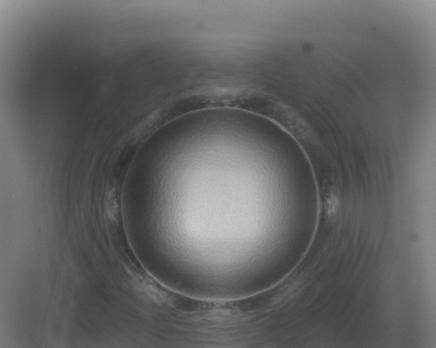 X0000083041204200702091400