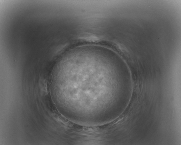 X0000083041205200702091400