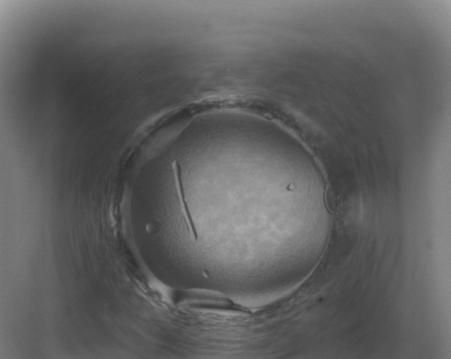 X0000083041206200702091400