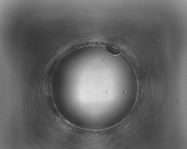 X0000083041207200702091400