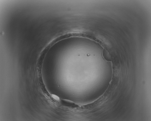 X0000083041208200702091400