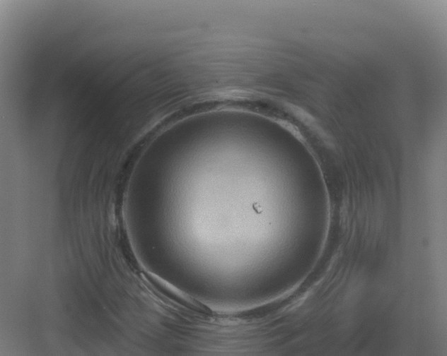 X0000083041209200702091400