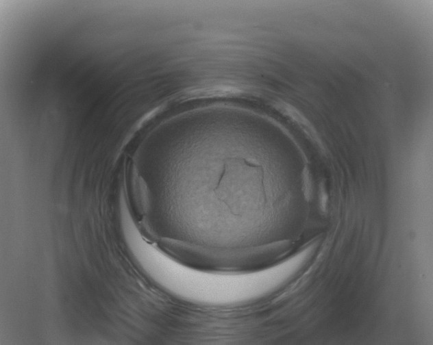 X0000083041210200702091400