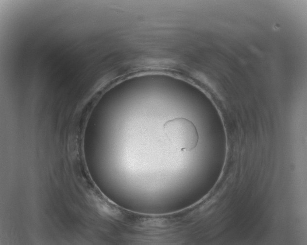 X0000083041211200702091400