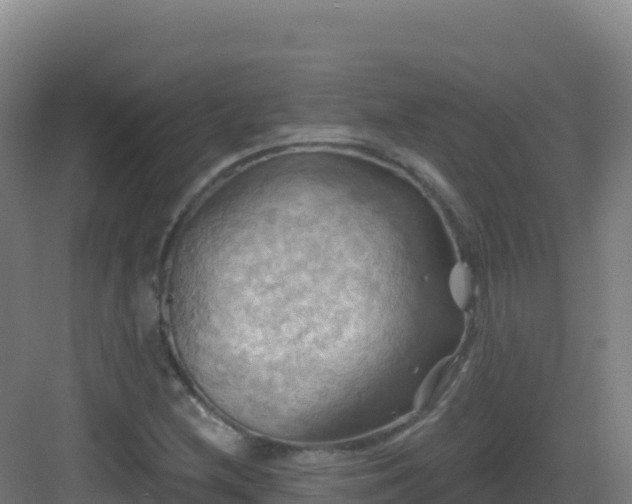 X0000083041212200702091400