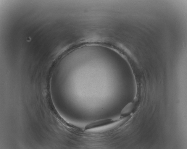 X0000083041213200702091400