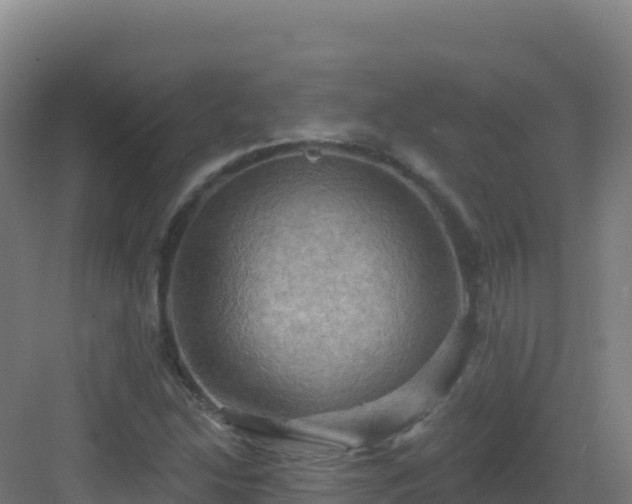 X0000083041214200702091400