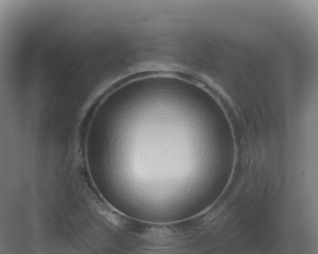 X0000083041215200702091400