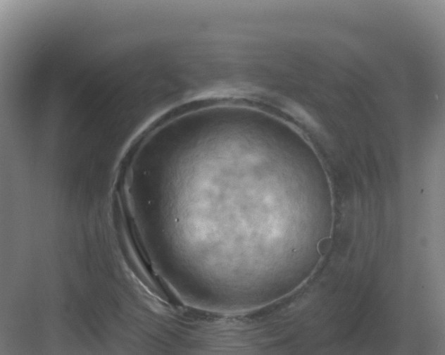 X0000083041216200702091400