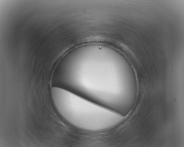 X0000083041217200702091400