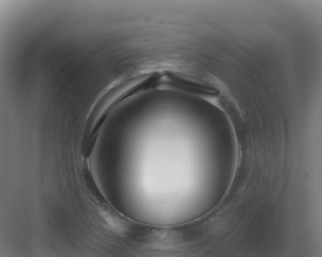 X0000083041218200702091400