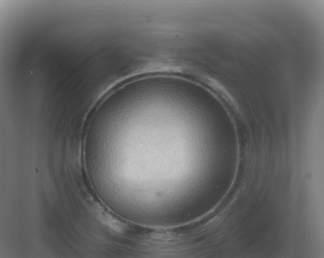 X0000083041220200702091400