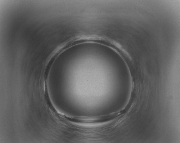 X0000083041221200702091400