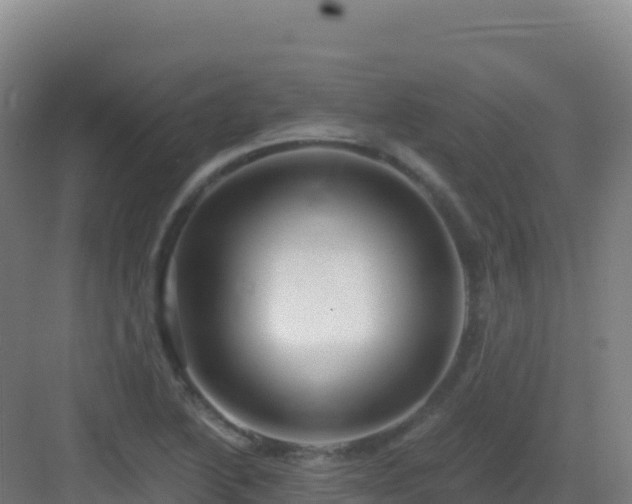 X0000083041222200702091400