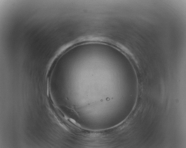 X0000083041223200702091400