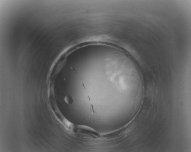 X0000083041224200702091400