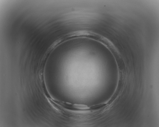 X0000083041225200702091400